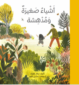 כריכת הספר أشياء صغيرة مدهشة